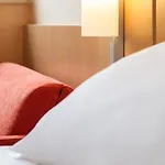 Ibis Gerland Merieux Lyon