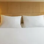 Ibis Gerland Merieux