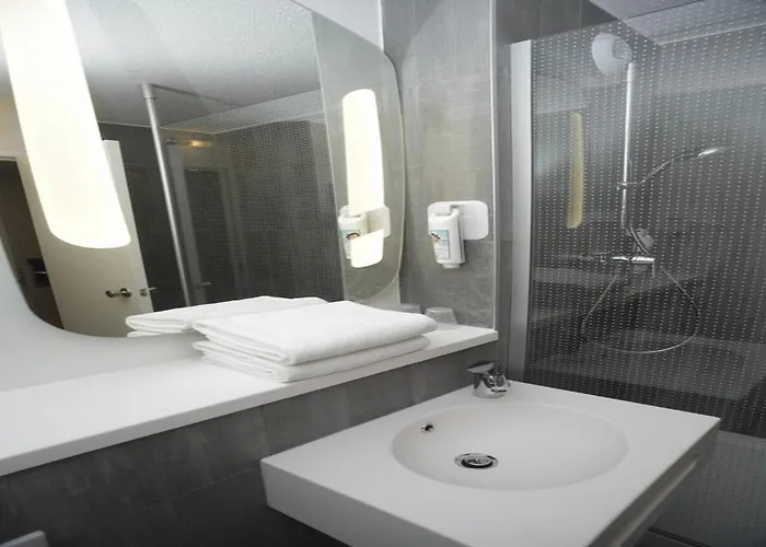 Ibis Gerland Merieux