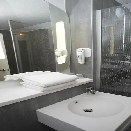 Ibis Gerland Merieux