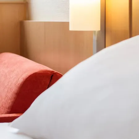 Ibis Gerland Merieux Lyon