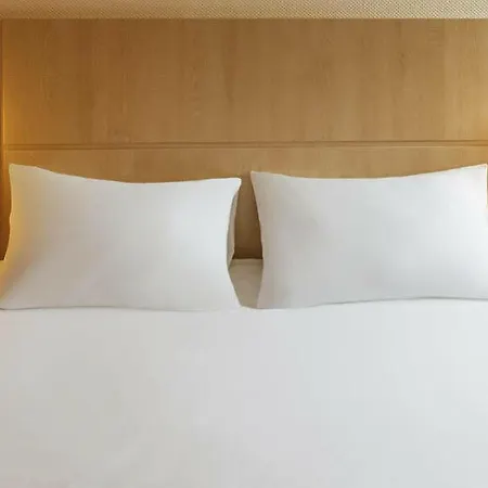 Ibis Gerland Merieux